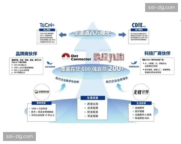 本阶段赛事技术系统正从单点工具向协同平台演变